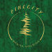 Pine City Purbachal 5 Khatha Jomi